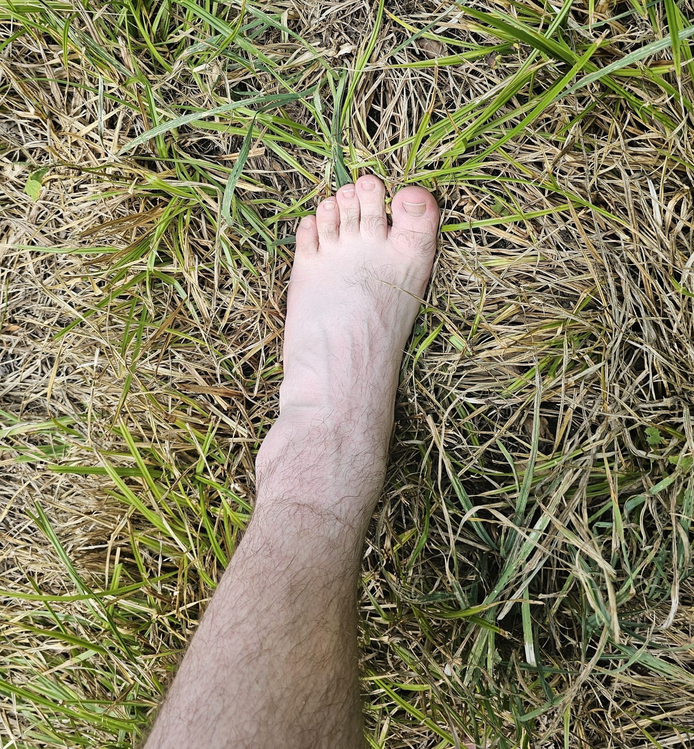 French Male Feet