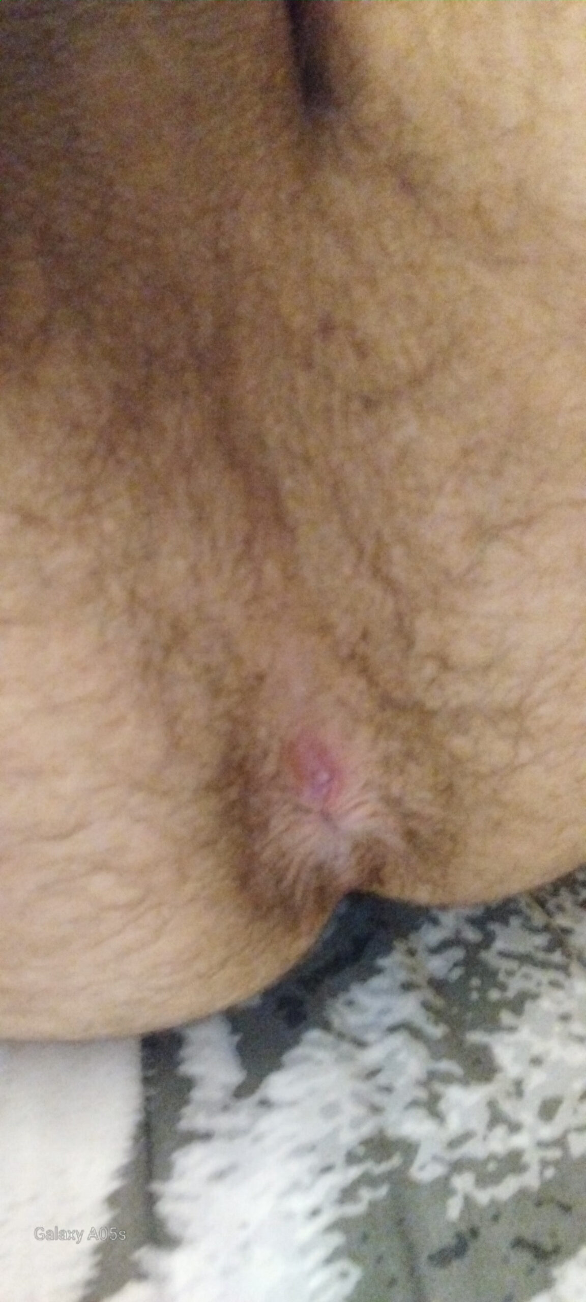 Exhib spmoumis
